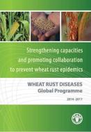 Wheat Rust Diseases Global Programme di Food and Agriculture Organization edito da Food and Agriculture Organization of the United Nations - FA