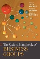 The Oxford Handbook of Business Groups di Asli M. Colpan edito da OXFORD UNIV PR