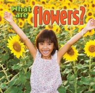 What Are Flowers? di Kelley MacAulay edito da CRABTREE PUB