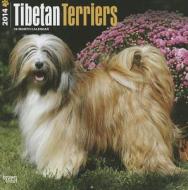 Tibetan Terriers Calendar edito da Browntrout Publishers