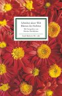 Schönheit dieser Welt. Die Blumen des Herbstes di Martina Hochheimer edito da Insel Verlag GmbH