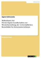 Maßnahmen der Private-Equity-Gesellschaften zur Wiederherstellung der wirtschaftlichen Rentabilität bei Krisenunternehme di Agnes Kalinowska edito da GRIN Publishing