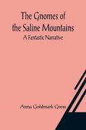 The Gnomes of the Saline Mountains di Anna Goldmark Gross edito da Alpha Editions