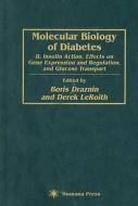 Molecular Biology of Diabetes, Part II di Boris Draznin edito da Humana Press Inc.