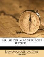 Blume Des Magdeburger Rechts... di Johann Von Buch, Nikolaus Wurm edito da Nabu Press