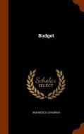 Budget di New Mexico Governor edito da Arkose Press