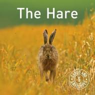 The Hare Card Pack: 5 Cards and Envelopes di The Hare Preservation Trust edito da GRAFFEG