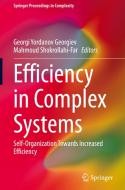 Efficiency in Complex Systems edito da Springer International Publishing
