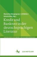 Kredit und Bankrott in der deutschsprachigen Literatur edito da Springer-Verlag GmbH