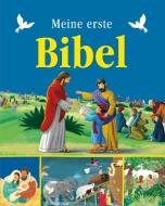 Meine erste Bibel edito da Schwager und Steinlein