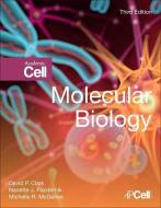 Molecular Biology di David Clark edito da Elsevier LTD, Oxford