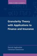 Granularity Theory with Applications to Finance and Insurance di Patrick Gagliardini, Christian Gouriéroux edito da Cambridge University Press