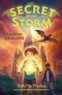 Land of Dragons: Volume 2 di Beth Mcmullen edito da ALADDIN