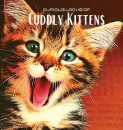 Curious looks of Cuddly Kittens di Hayden Clayderson edito da Hayden Clayderson