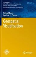Geospatial Vision edito da Springer-Verlag GmbH