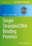 Single Stranded DNA Binding Proteins edito da HUMANA PR