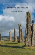 The Picts of Scotland di Clayton N. Donoghue edito da FriesenPress