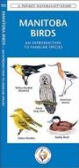 Manitoba Birds: A Folding Pocket Guide to Familiar Species di James Kavanagh edito da Waterford Press
