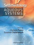 Sedimentology of Aqueous Systems di Cristiano Poleto edito da Wiley-Blackwell