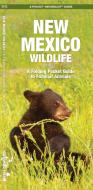 New Mexico Wildlife: An Introduction to Familiar Species di James Kavanagh edito da Waterford Press