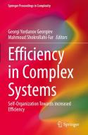 Efficiency in Complex Systems edito da Springer International Publishing