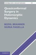 Quasiconformal Surgery in Holomorphic Dynamics di Bodil Branner edito da Cambridge University Press