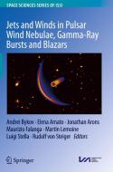 Jets and Winds in Pulsar Wind Nebulae, Gamma-Ray Bursts and Blazars di Andrei Bykov edito da Springer