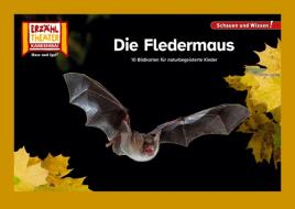 Die Fledermaus / Kamishibai Bildkarten edito da Hase und Igel Verlag GmbH