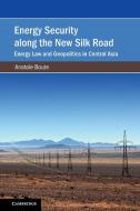 Energy Security along the New Silk Road di Anatole (The Chinese University of Hong Kong) Boute edito da Cambridge University Press