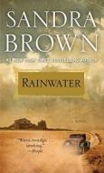 Rainwater di Sandra Brown edito da Pocket Books