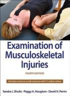 Examination of Musculoskeletal Injuries di Sandra J. Shultz, Peggy A. Houglum, David H. Perrin edito da Human Kinetics