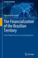 The Financialization Of The Brazilian Territory di Fabio Betioli Contel edito da Springer Nature Switzerland Ag