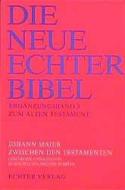 Zwischen den Testamenten di Johann Maier edito da Echter Verlag GmbH