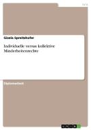 Individuelle versus kollektive Minderheitenrechte di Gisela Spreitzhofer edito da GRIN Publishing