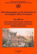 Some Non-Heterocyclic Polycyclic Aromatic Hydrocarbons and Some Related Exposures di The International Agency for Research on edito da WORLD HEALTH ORGN