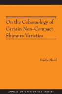 On the Cohomology of Certain Non-Compact Shimura Varieties (AM-173) di Sophie Morel edito da Princeton University Press