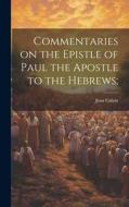 Commentaries on the Epistle of Paul the Apostle to the Hebrews; di Jean Calvin edito da LEGARE STREET PR