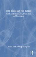 Indo-European Fire Rituals di Anders Kaliff, Terje Oestigaard edito da Taylor & Francis Ltd