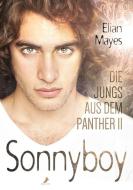 Die Jungs aus dem Panther 2 di Elian Mayes edito da DEAD SOFT Verlag