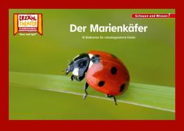 Der Marienkäfer / Kamishibai Bildkarten edito da Hase und Igel Verlag GmbH