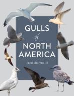 Gulls Of North America di Fred Shaffer edito da Schiffer Publishing Ltd