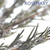 Rosemary di Southwater edito da Anness Publishing