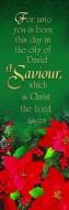 Savior Christmas Bookmark (Pk 25) di A. Meillet edito da Warner Press