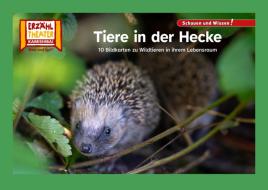 Tiere in der Hecke / Kamishibai Bildkarten edito da Hase und Igel Verlag GmbH