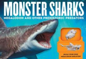 Monster Sharks di Brenda Gurr edito da becker&mayer! books