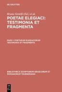 Poetarum Elegiacorum Testimonia Et Fragmenta edito da Walter de Gruyter