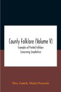 County Folklore (volume V); Examples Of Printed Folklore Concerning Lincolnshire di Gutch Mrs. Gutch, Peacock Mabel Peacock edito da Alpha Editions