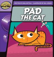 Rapid Phonics Pad The Cat Step 1 (fiction) di Gina Nuttall edito da Pearson Education Limited