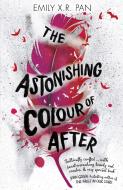 The Astonishing Colour of After di Emily X. R. Pan edito da Hachette Children's  Book