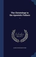 The Christology In The Apostolic Fathers .. di Alonzo Rosecrans Stark edito da Sagwan Press